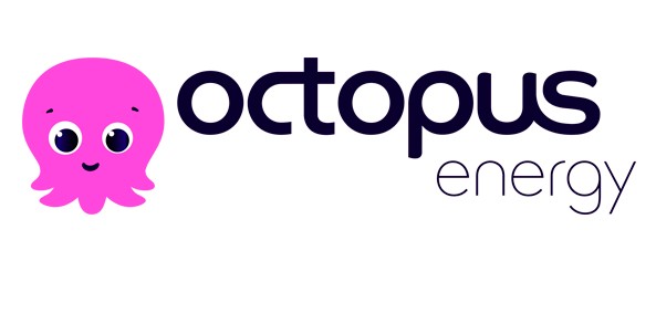 fraudes octopus energy